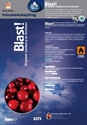 Picture of Shades Blasti Cranberry Crush Air Freshener 750ml